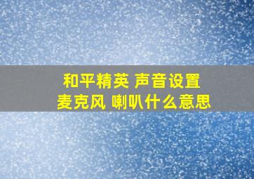 和平精英 声音设置 麦克风 喇叭什么意思